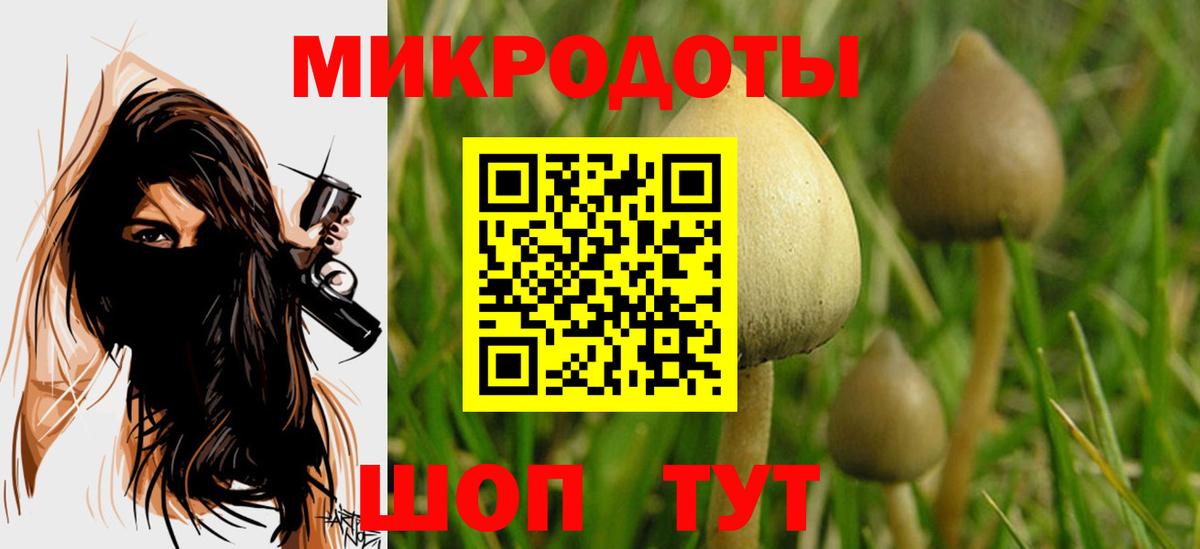 Галлюциногенные грибы MAGIC MUSHROOMS  Вход с VPN  Арсеньев 